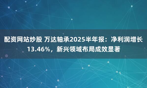 配资网站炒股 万达轴承2025半年报：净利润增长13.46%，新兴领域布局成效显著