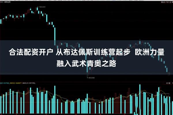 合法配资开户 从布达佩斯训练营起步  欧洲力量融入武术青奥之路