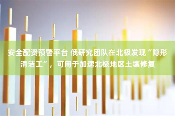 安全配资预警平台 俄研究团队在北极发现“隐形清洁工”，可用于加速北极地区土壤修复