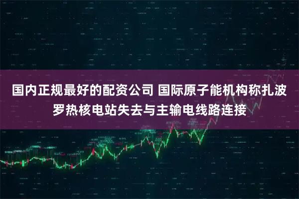 国内正规最好的配资公司 国际原子能机构称扎波罗热核电站失去与主输电线路连接